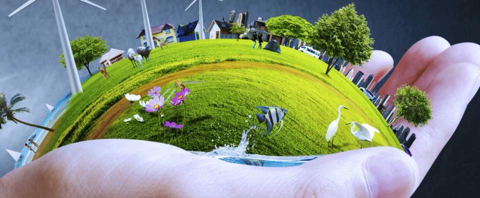 TRANSAZIONE ECOLOGICA